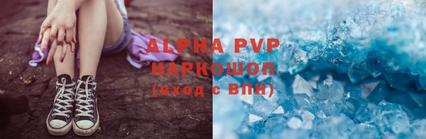 крисы Новокубанск