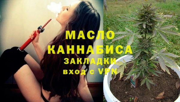 дмт Нягань