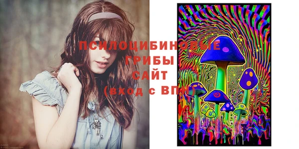 соль ск Новодвинск