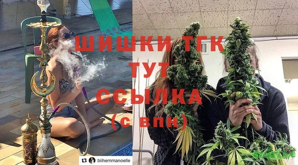 винт Новозыбков
