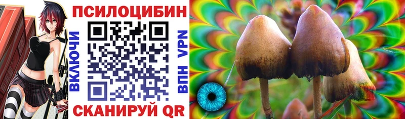 Купить где  Чебаркуль  Галлюциногенные грибы мухоморы 